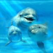 Internetes munka, p�nzkeres�s