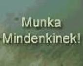 INGYENES VAL�S �LL�SAJ�NLAT